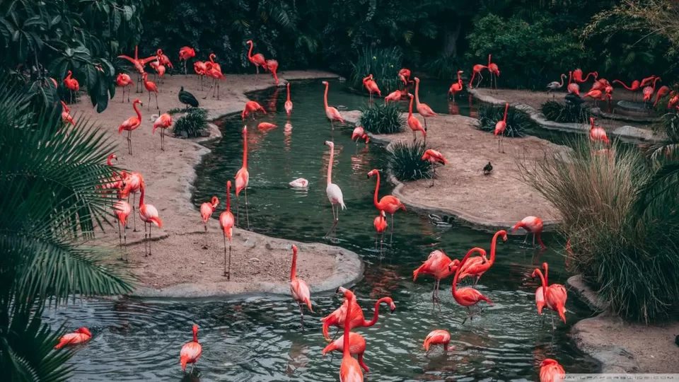 Sultanpur National Park